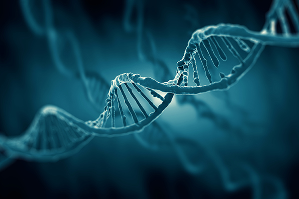 New technique visualizes uncommon base pairing in DNA | College of Arts ...