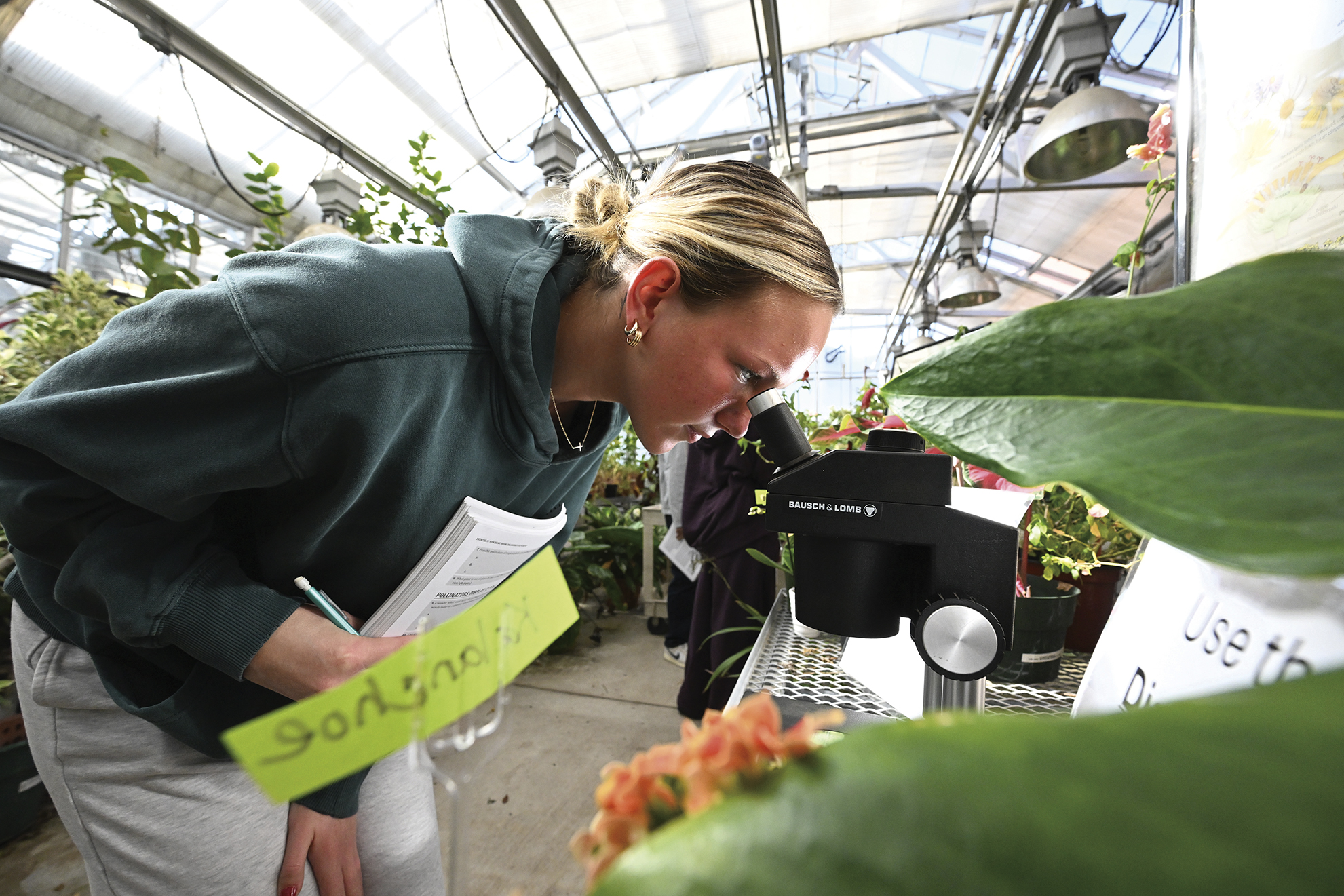 A student examines tropical, perennial succulents under a microscope as part of a flower anatomy lab.