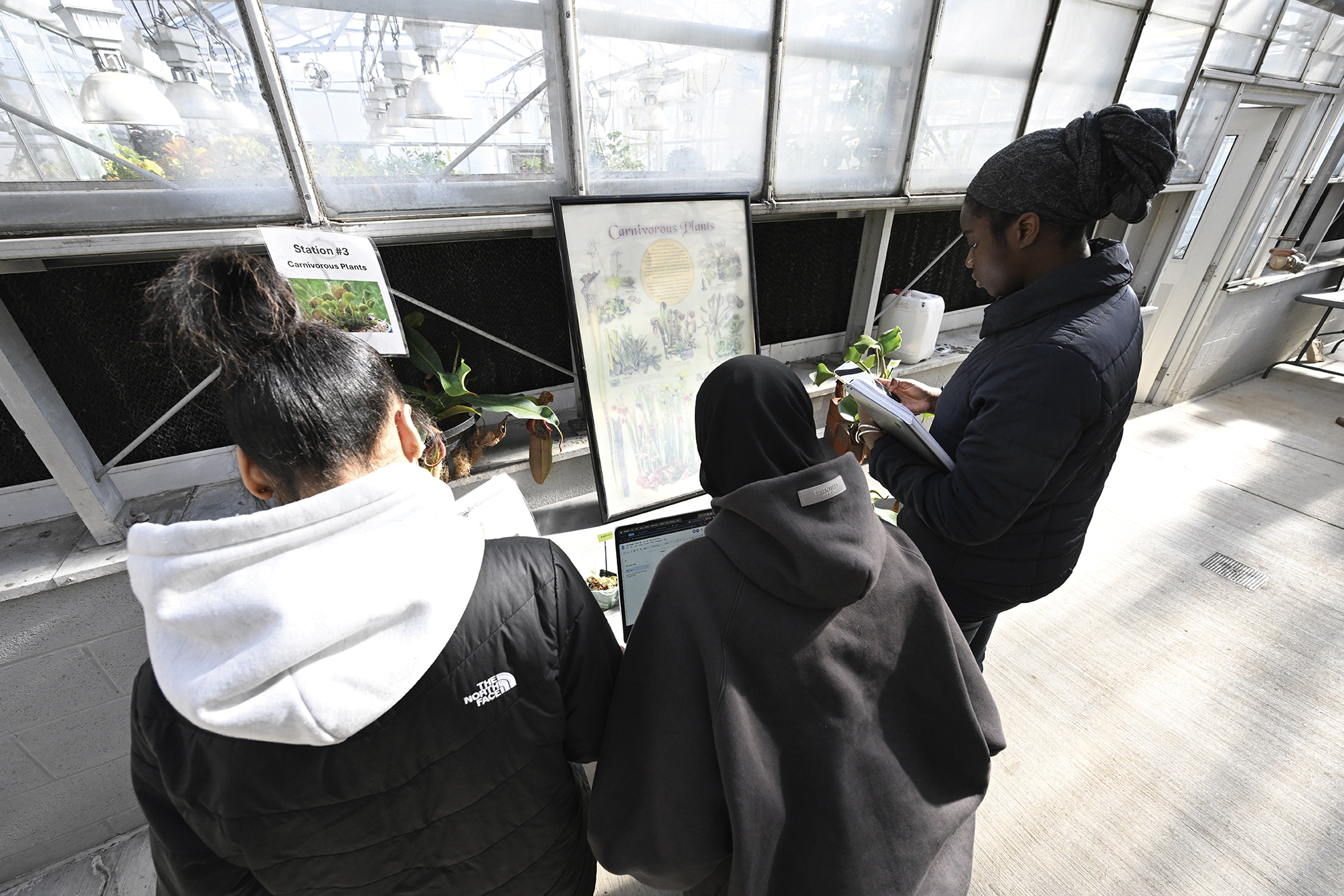 Undergraduates look at varieties of carnivorous plants for a flower anatomy lab.