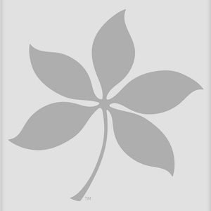 A gray buckeye leaf