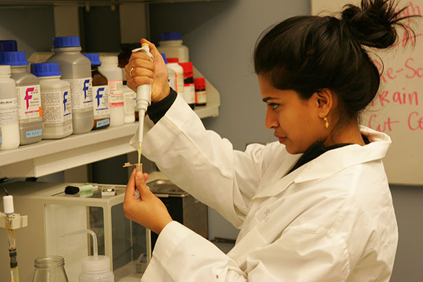 Student scientist performing experiment.