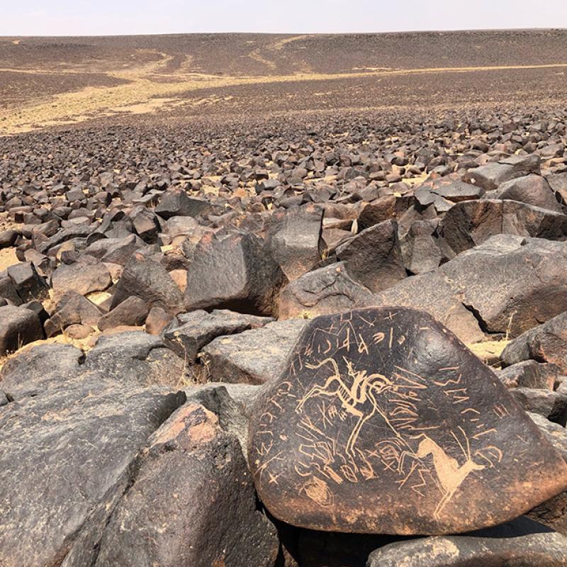 A rock in the Harrah with Safaitic text and a carving of a hunter spearing an antelope.