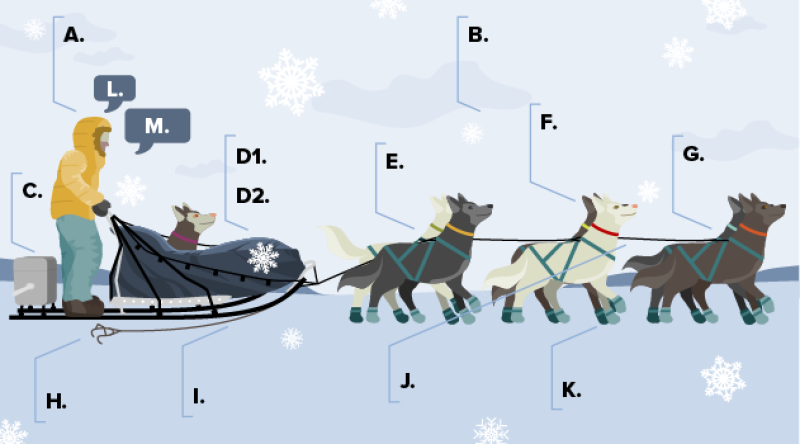 Illustration of a dog sled