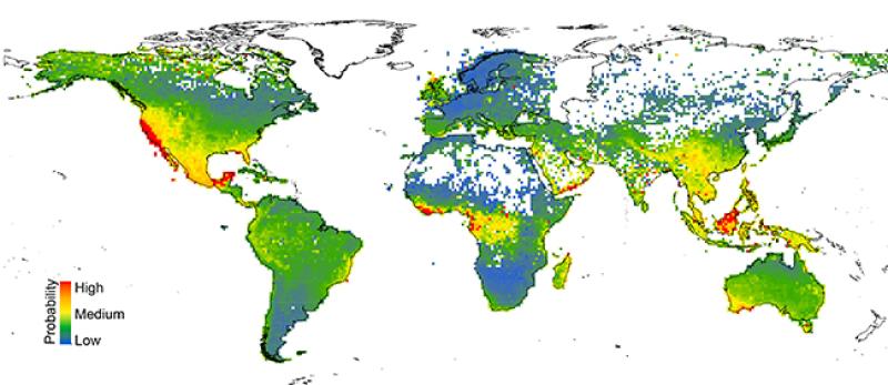 This map shows the predicted levels of risk to more than 150,000 species of plants located worldwide, with warmer colors denoting areas with larger numbers of potentially at-risk species. Image courtesy Anahí Espíndola and Tara Pelletier.