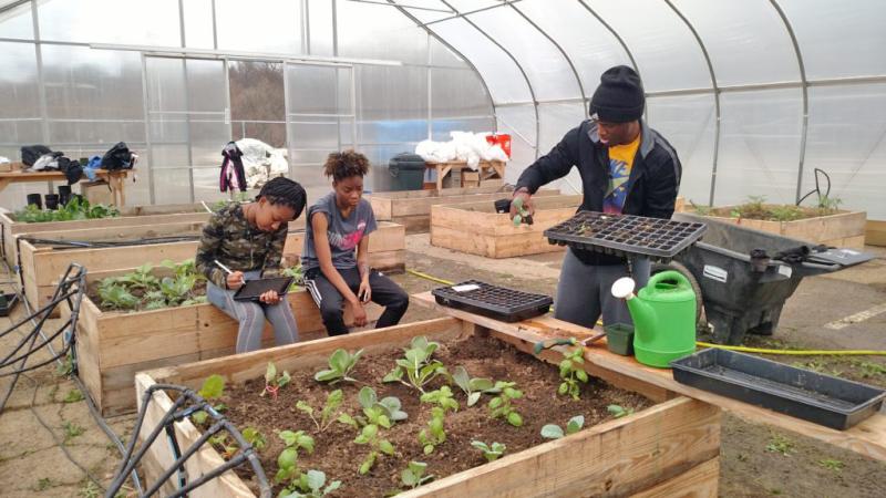 Students gardening in microfarm