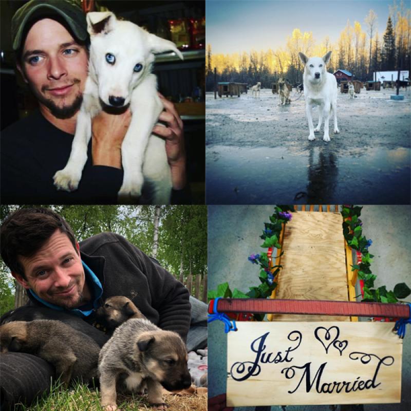 A college of images featuring Matthew Failor and dogs