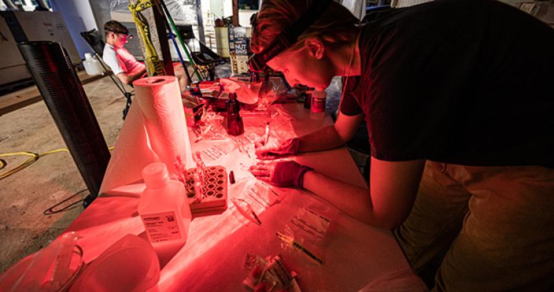 Researcher working under red light