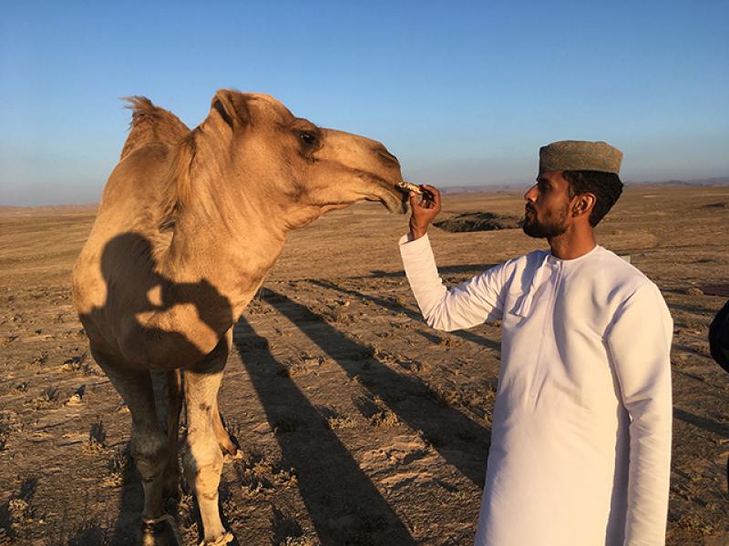Camel Culture by Mark Moritz
