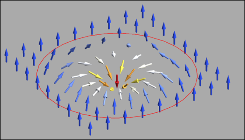 diagram of spin texture in a single skyrmion