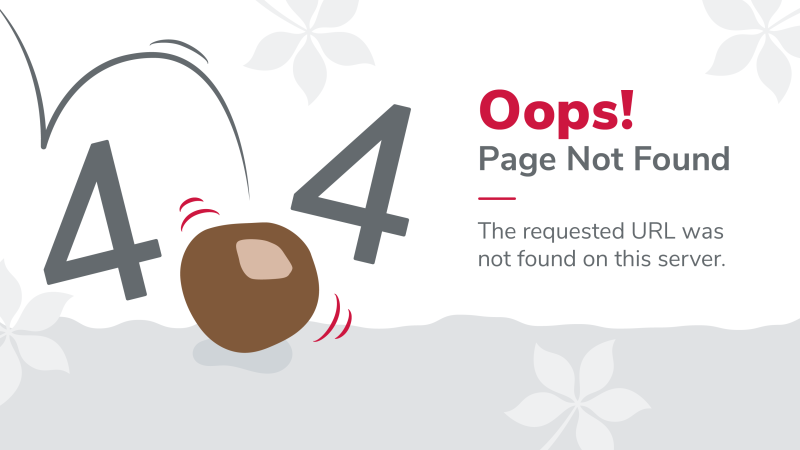 Oops, Page Not Found. The requested URL was not found on this server.