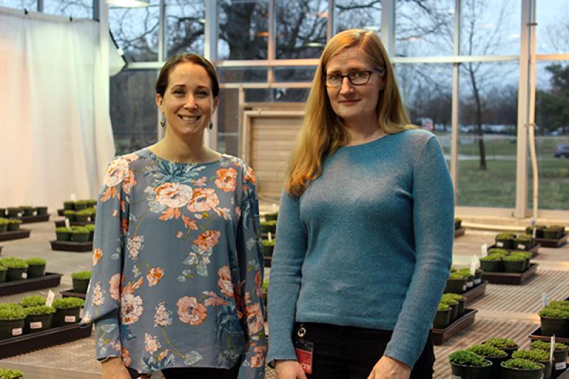 From left: Courtney Price and Emma Knee