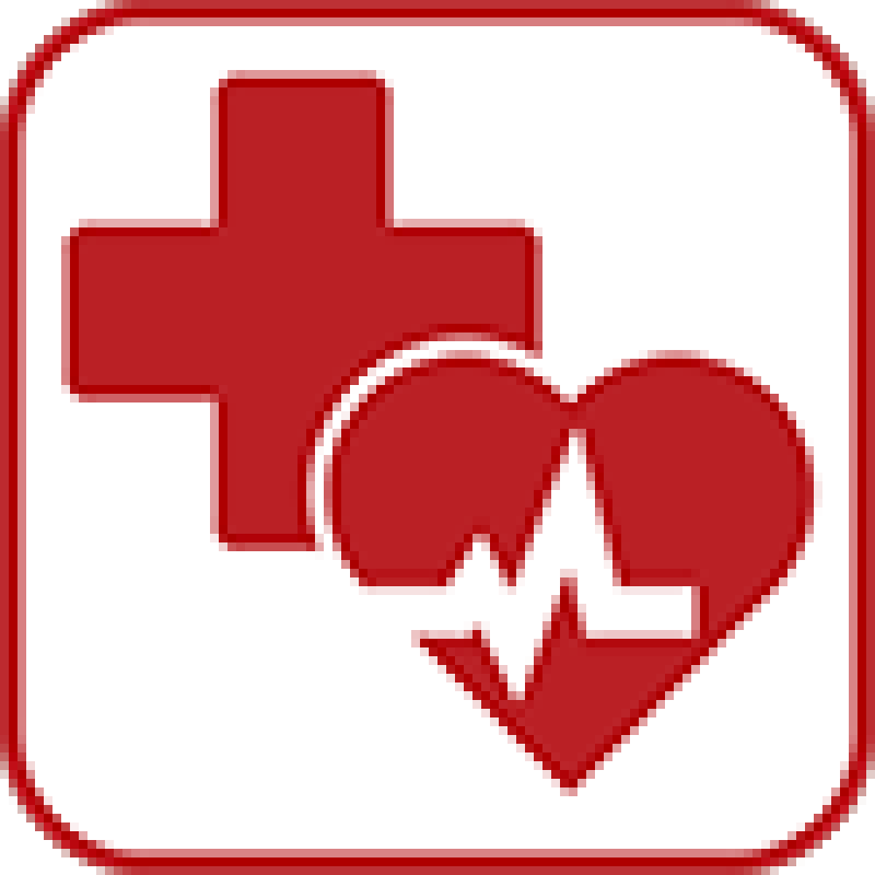 Healthcare and Wellness Icon