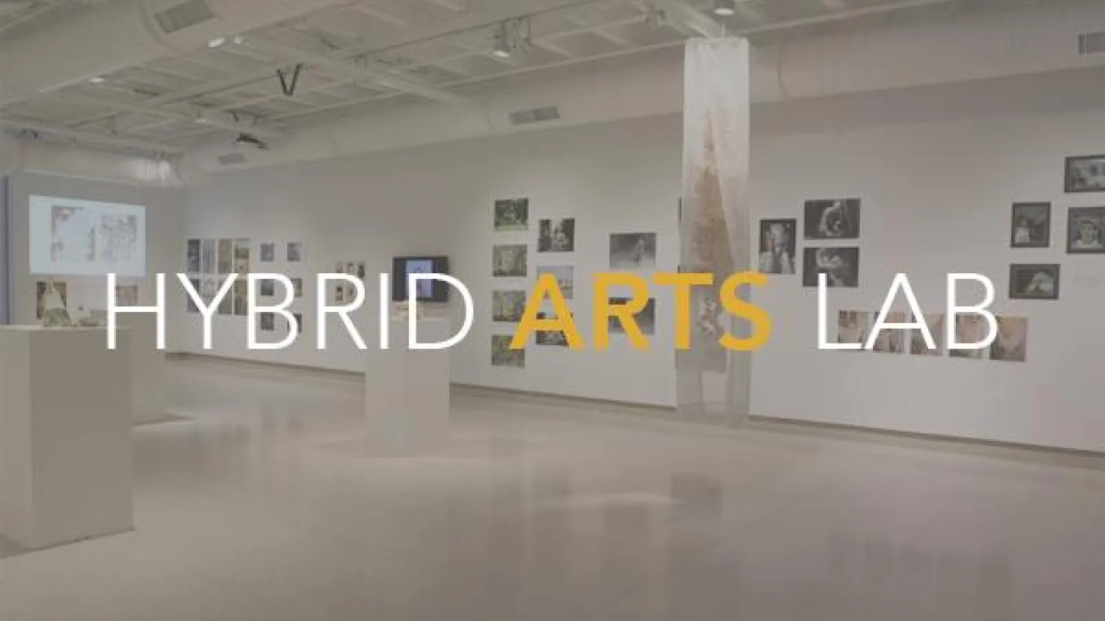"Hybrid Arts Lab"