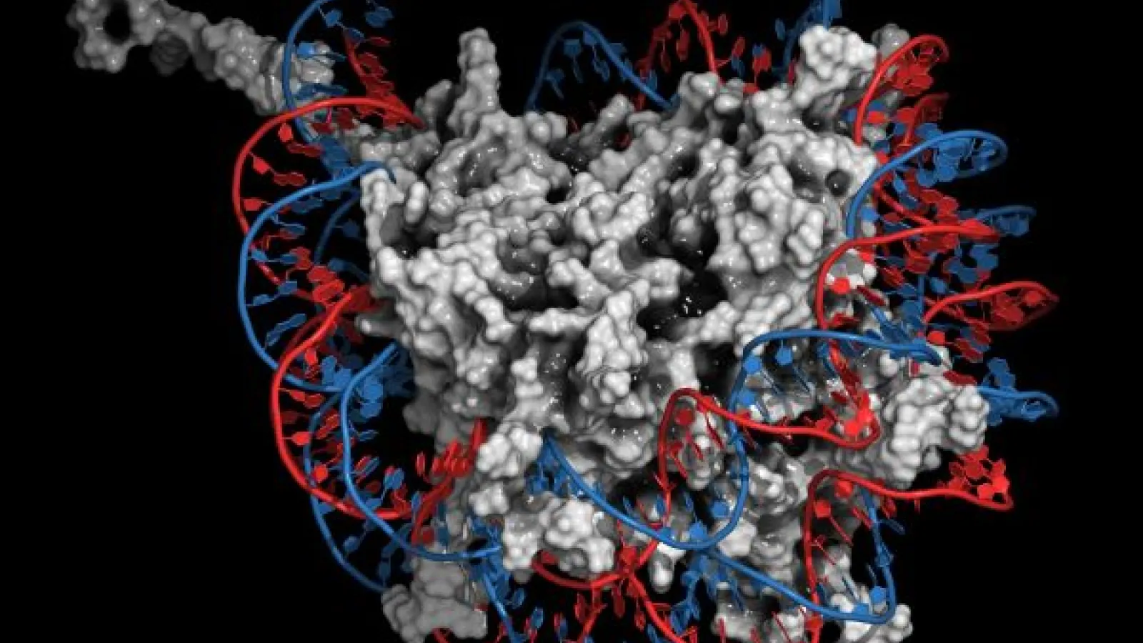 protein ilustration