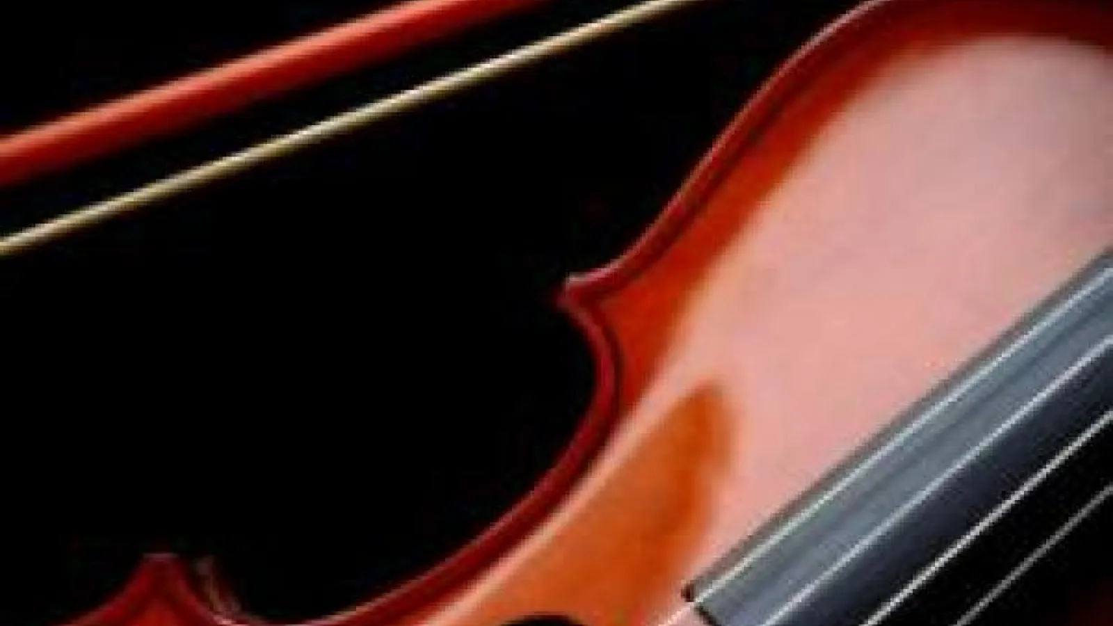 Violin