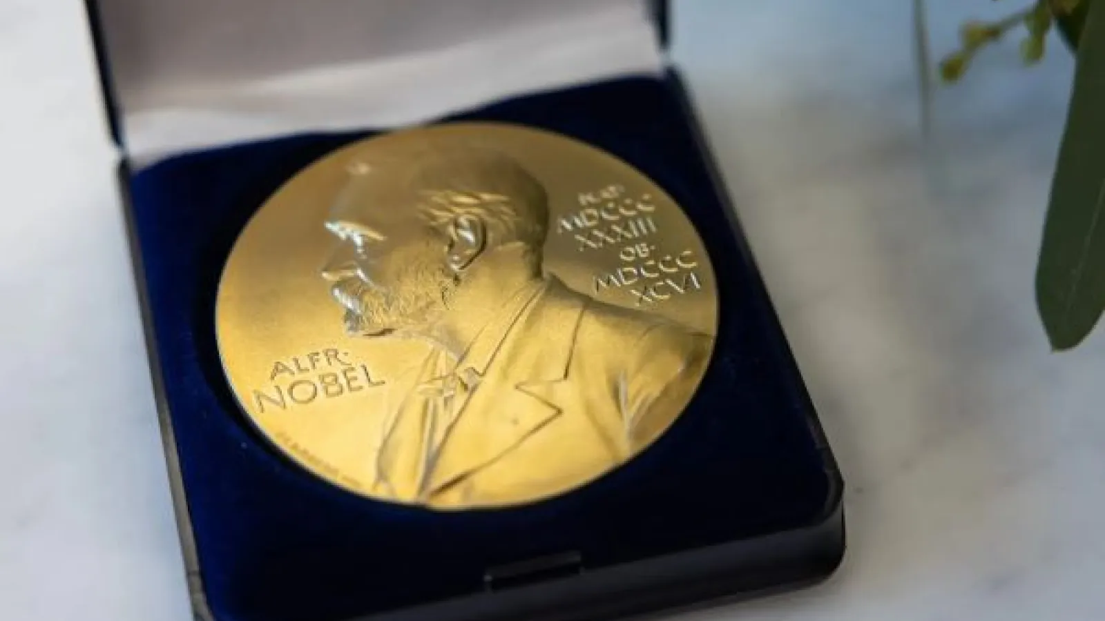 Nobel medal