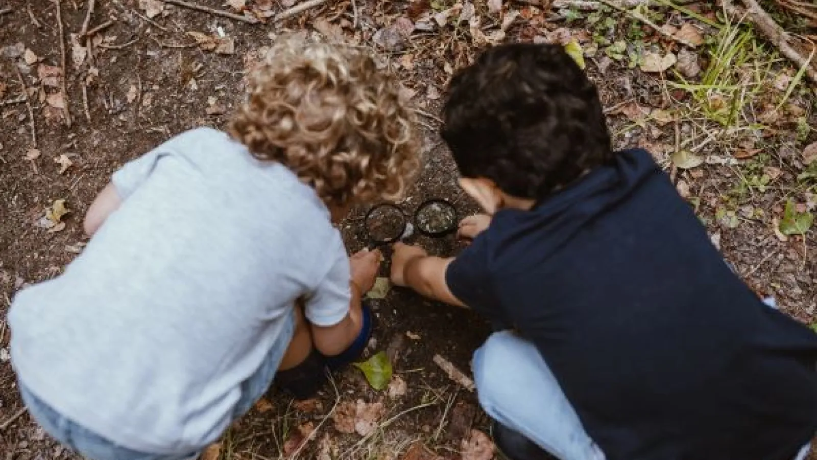 Children explore a forest floor with magnifying glasses