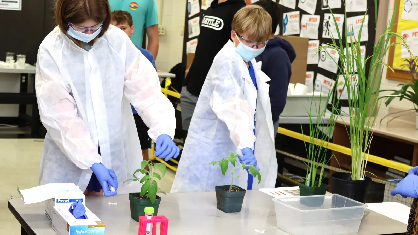 students become the scientists, spraying sample plants with imitation plant protectors