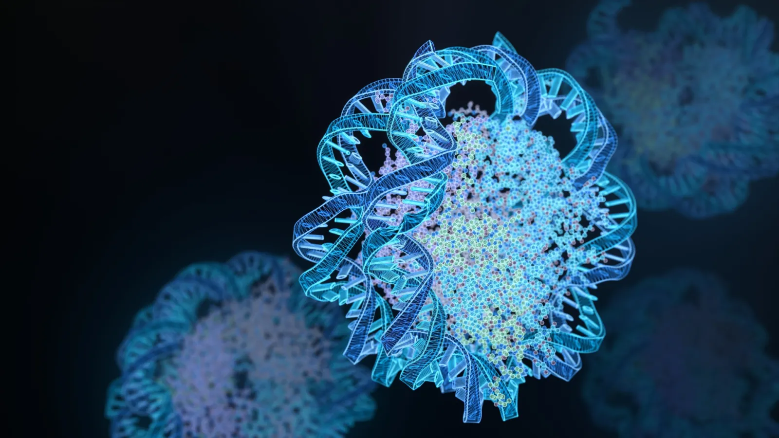 linker histone H1 protein