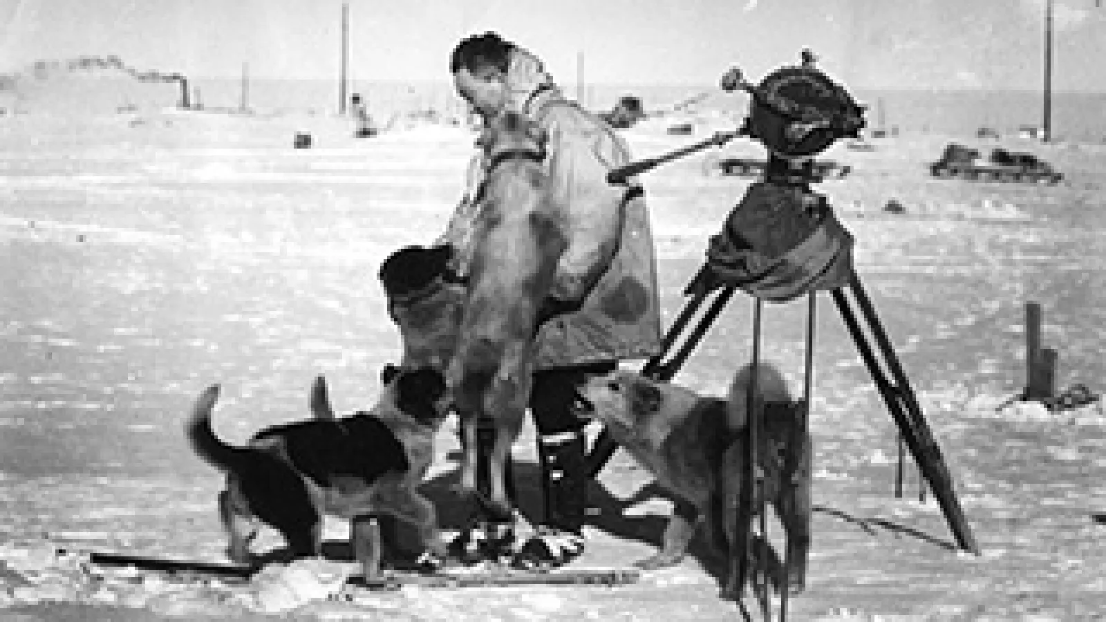 Admiral Byrd