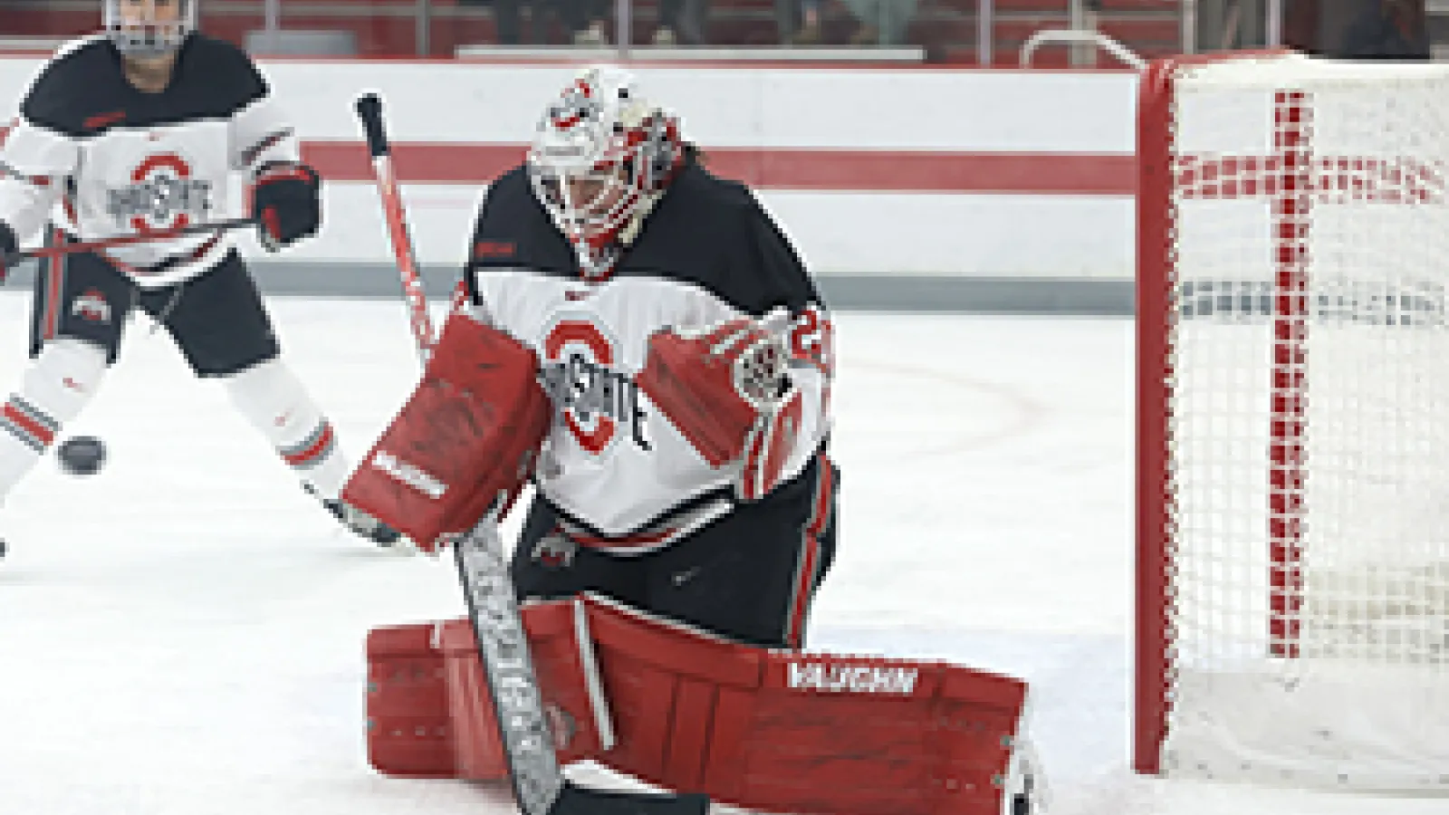 Andrea Braendli saving a shot in a hockey game