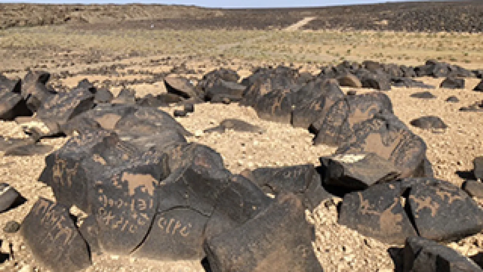 Safaitic inscriptions on rocks in the Harrah.