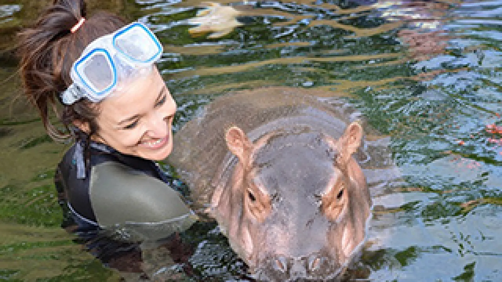 Arts and Sciences alumna Angela Hatke with Fiona the baby hippo.
