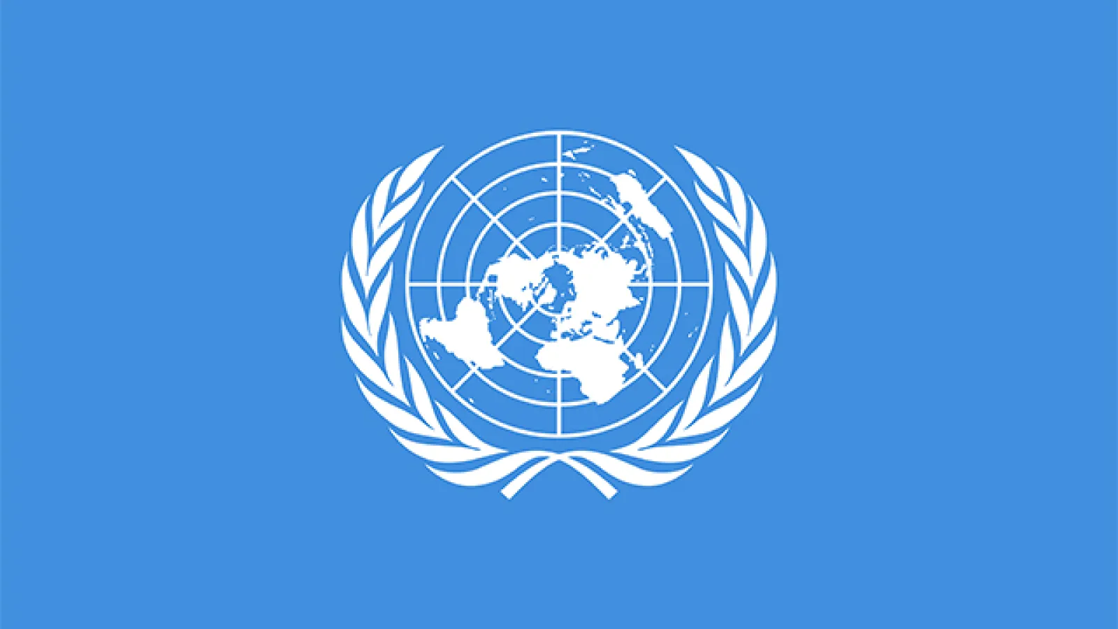 UN Flag
