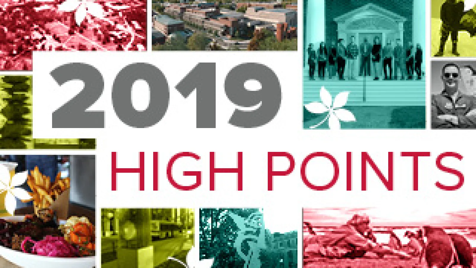 Collage of images from 2019 stories