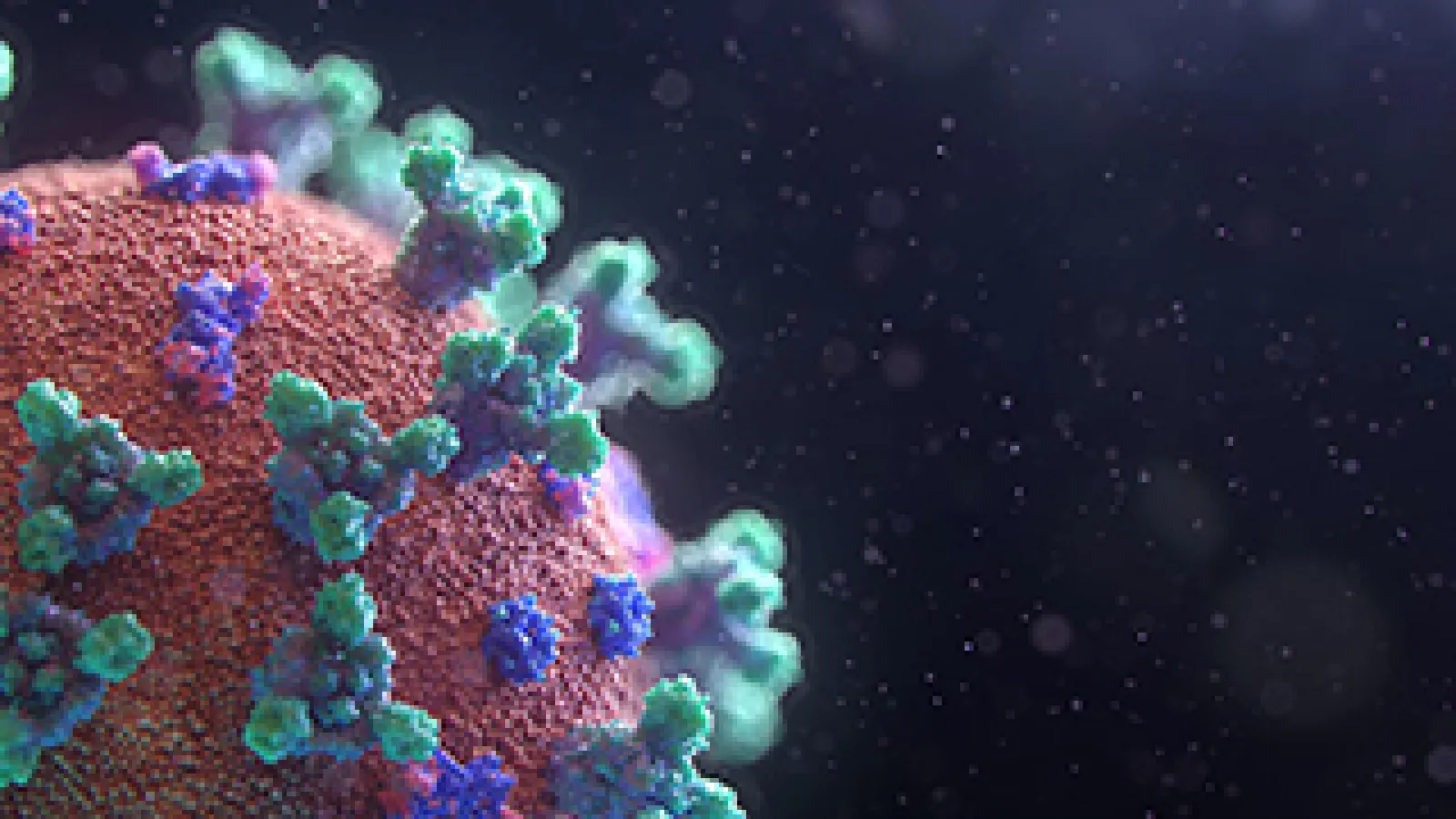 A depiction of a virus 