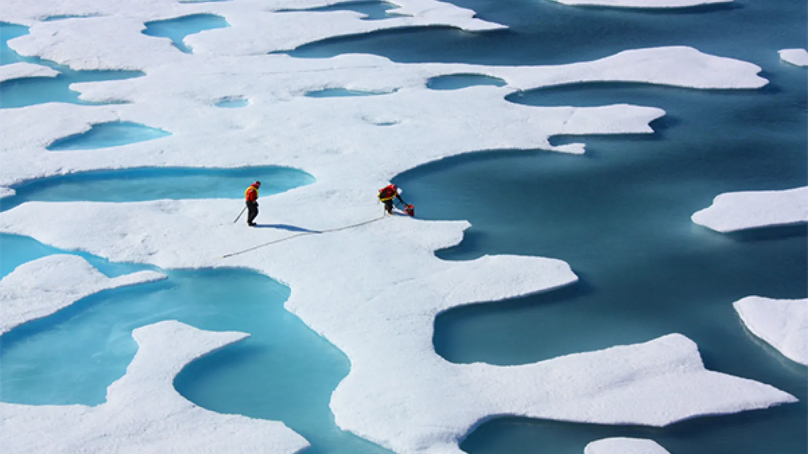 arctic ice