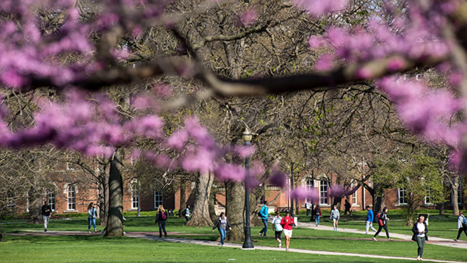 Spring on the Oval