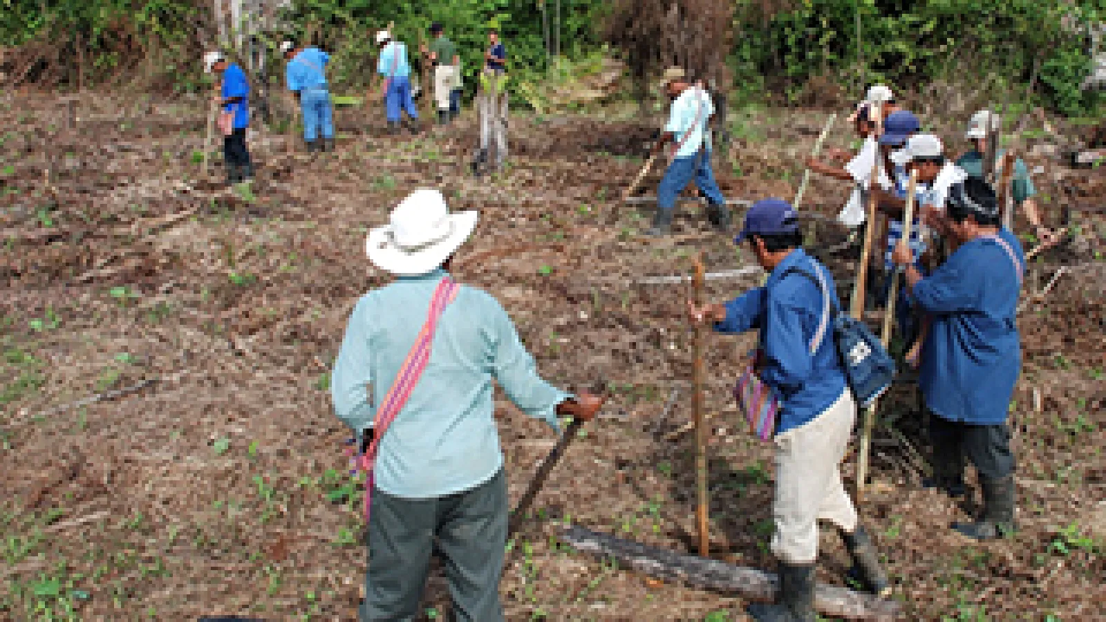 Maya farmers practicing swidden agriculture