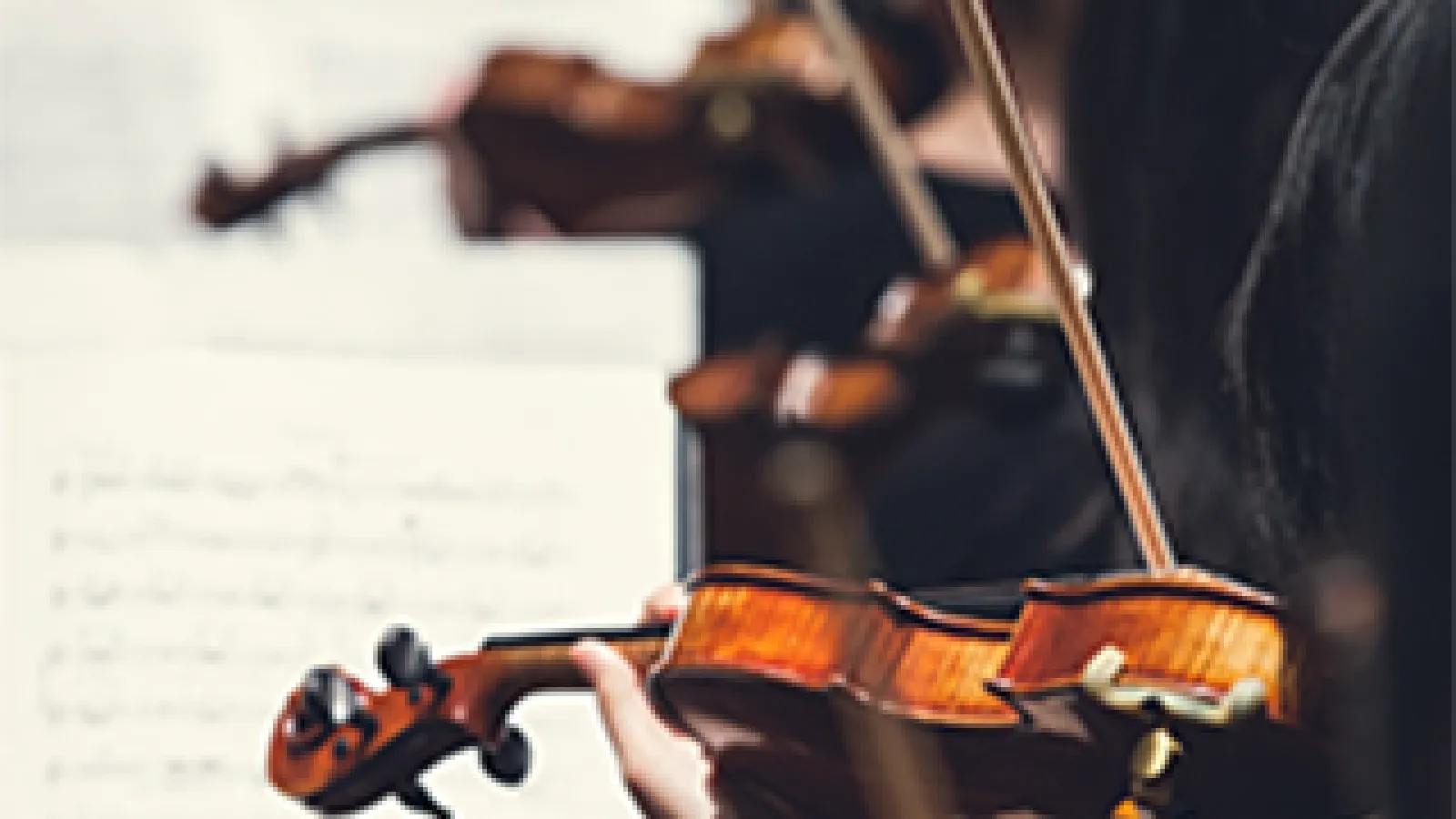 Symphony Orchestra image