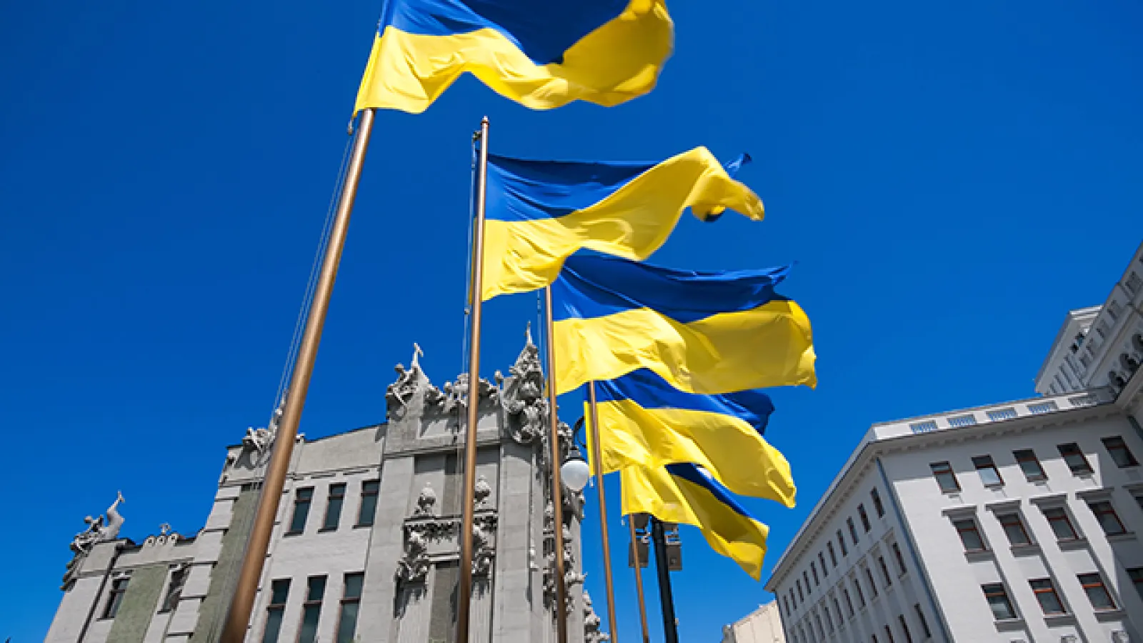 Ukrainian flags