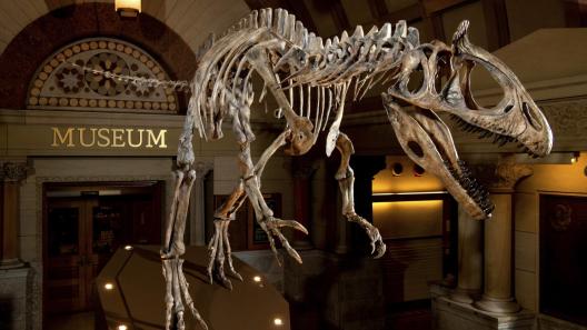 Dinosaur in Orton Hall
