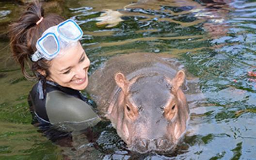 Arts and Sciences alumna Angela Hatke with Fiona the baby hippo.