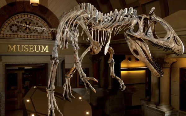 Dinosaur in Orton Hall