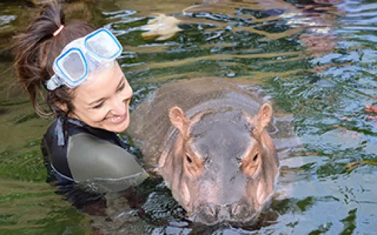 Arts and Sciences alumna Angela Hatke with Fiona the baby hippo.