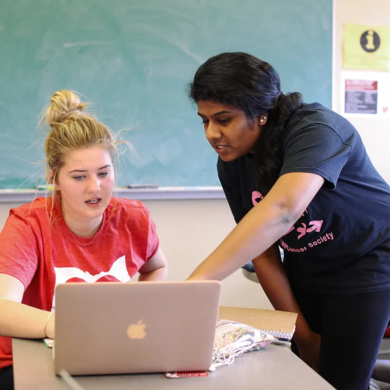 Two economics students looking at laptop screen