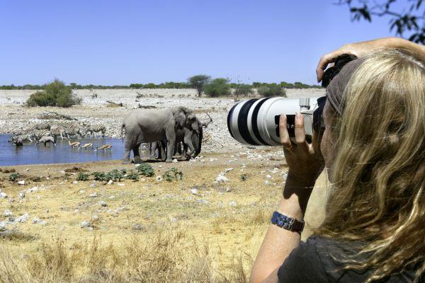 taking photos of elephants and zebras at a watering hole
