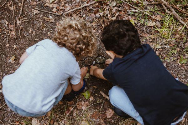 Children explore a forest floor with magnifying glasses