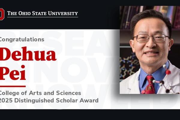 Dehua Pei Distinguished Scholar Award