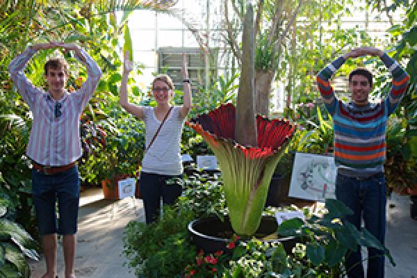 Posing with a blooming titan arum "Woody" at Biological Sciences Greenhouse at Ohio State in 2013