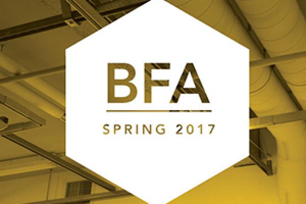 bfa spring icon 