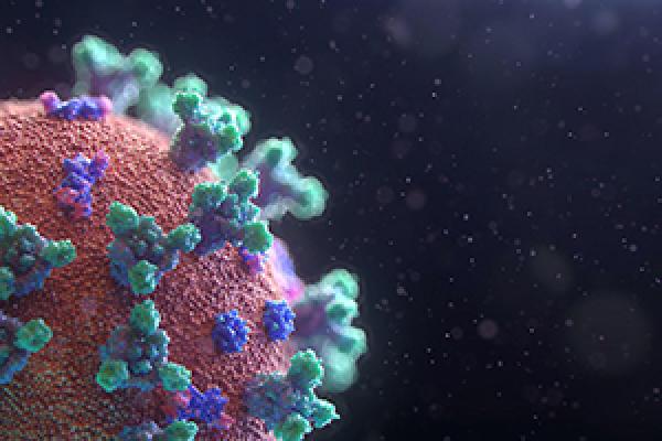A depiction of a virus 