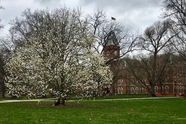 University Hall spring