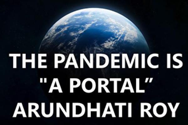 Pandemic as Portal